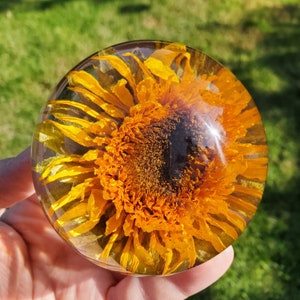 Sunflower Resin Sphere with Light Base Handmade Resin Craft with Real Sunflower Inside Home Décor Night Light, Accent Lighting image 4