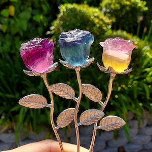 Kleine Regenbogen Fluorit Kristall Rose auf Stamm - Mentale Klarheit, Positivität, energetischer Schutz - Stein Rose Heilende Kristalle Edelsteine