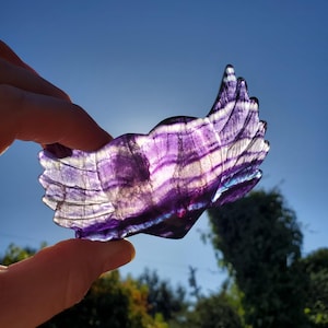 Rainbow Fluorite Heart Wings - Mental Clarity, Balancing, Protective, Grounding - 3.75&quot; Fluorite Crystal Heart with Wings Healing Gemstones