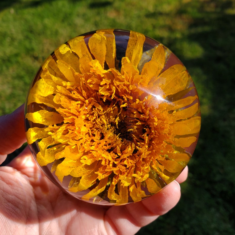 Sunflower Resin Sphere with Light Base Handmade Resin Craft with Real Sunflower Inside Home Décor Night Light, Accent Lighting image 6
