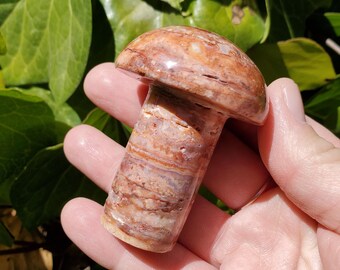 Crazy Lace Agate Mushroom - Balance of the Physical, Mental & Emotional, Energy Shield - Agate Crystal Mushie Carving Healing Gemstone