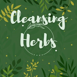 Cleansing Herbs Cheat Sheet!