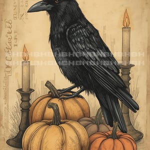 Primitive Farmhouse Grungy Crow Pumpkins Digital Image Printable PNG 300 DPI Autumn Fall Raven Shiplap Harvest Digital Download Prim
