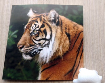 Tiger profile-a blank greetings card