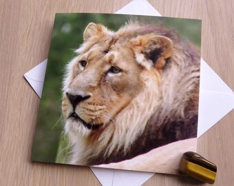 Portrait of a Lion - a blank greetings card