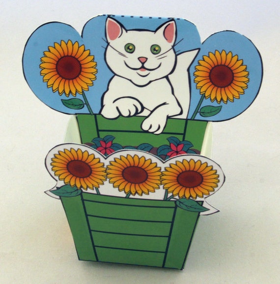 cat goodie box