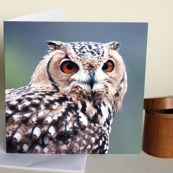 Eagle Owl - a wildlife themed greetings card. Celebration. Photographic owl portrait.