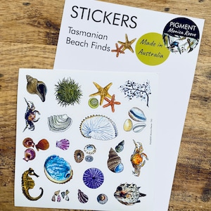 Shell Stickers, Tasmanian shells, scrapbook supplies, cute stickers, seahorse, nautilus, cowrie, crab, seahorse, nature lover, beach style