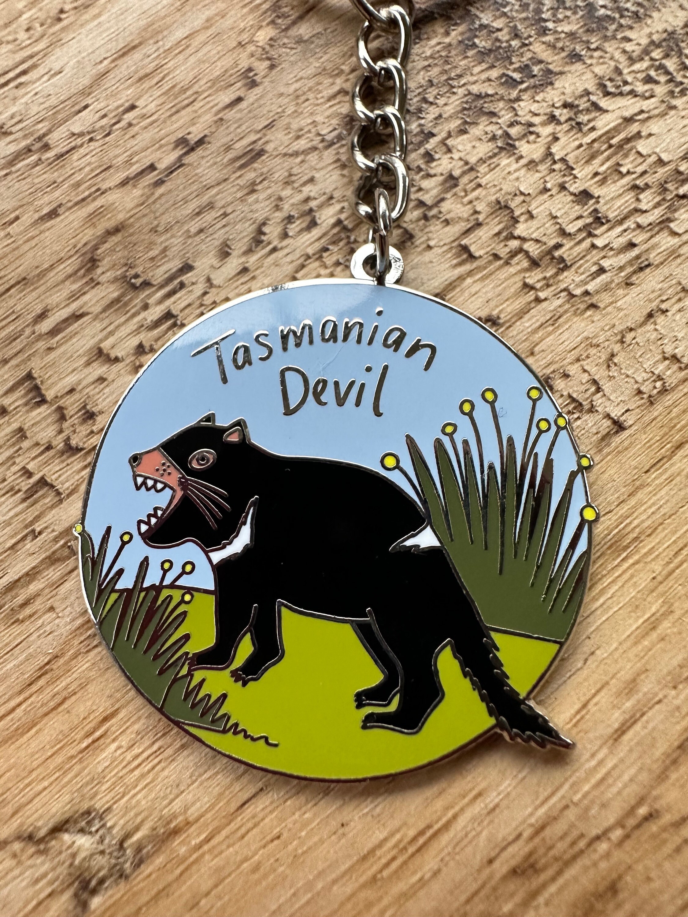 Tasmanian Devil, Tassie Devil, Devils, Key Ring, Key Chain, Australian ...