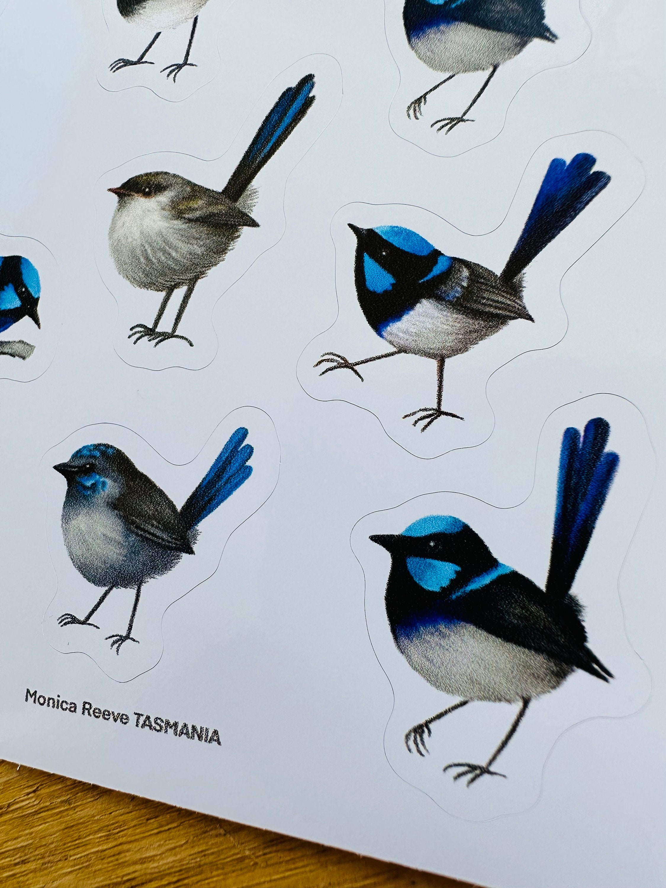 Wren Sticker Superb Fairy Wren, Blue Wrens, Bird Stickers, Decorations, Letter ...