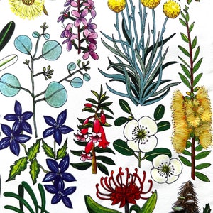 Tasmanian Wildflowers, Microfibre tea towel, Floral Tea Towel, Made in Australia, original art, gift ideas, fabric panel, botanical art image 5
