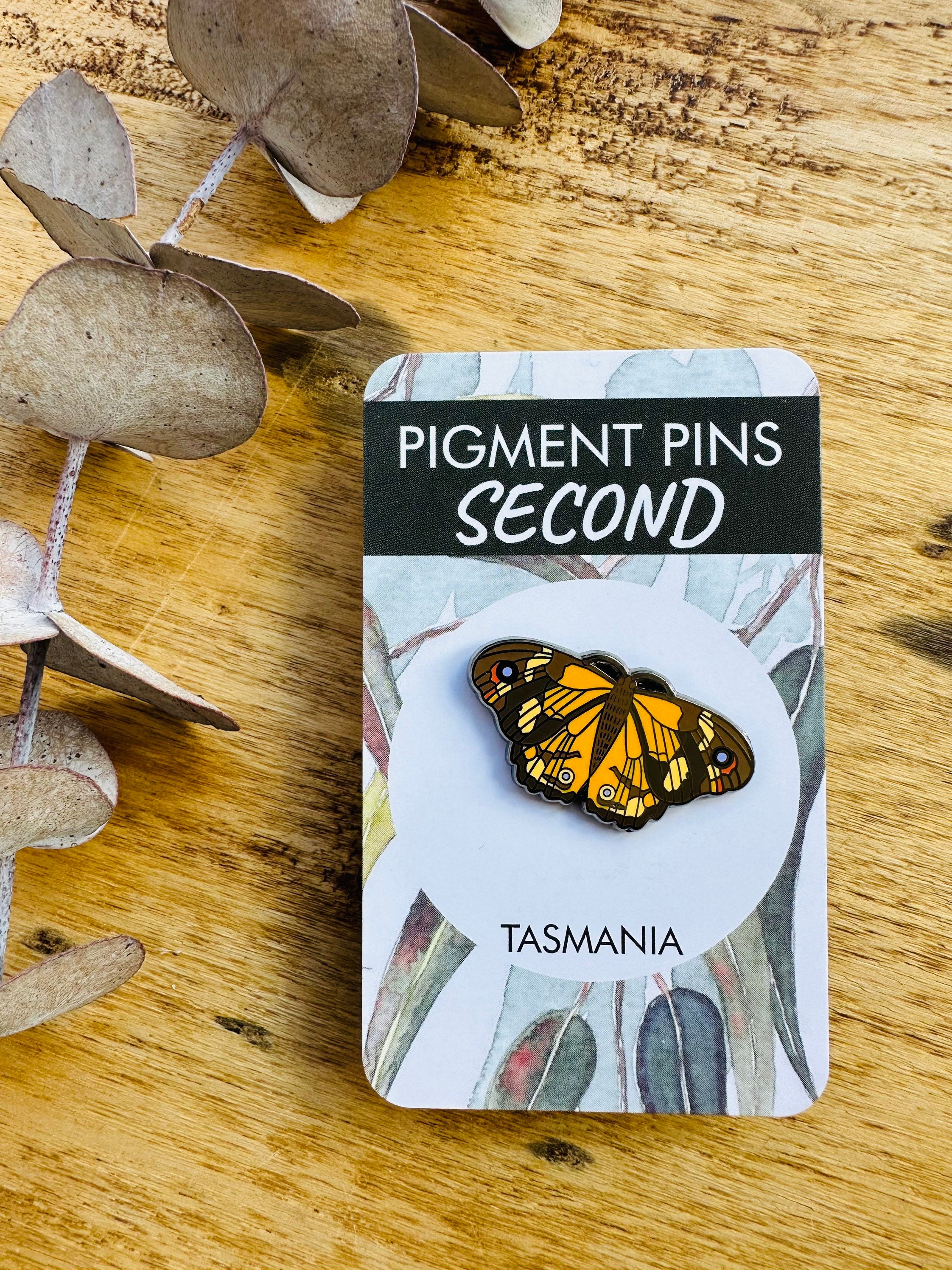 SECONDS Butterfly Pin, Insect Art, Australian Insects, Common Brown  Butterfly, Moth Pin, Tasmania, Lapel Pins, Badges, Brooches 