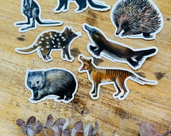 Puede incluir: Una colección de pegatinas de animales que incluyen un canguro, un demonio de Tasmania, un equidna, un cuol, un ornitorrinco, un wombat y un tilacino. Las pegatinas tienen bordes blancos y están sobre una superficie de madera.