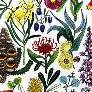 Tasmanian Wildflowers, Microfibre tea towel, Floral Tea Towel, Made in Australia, original art, gift ideas, fabric panel, botanical art image 4