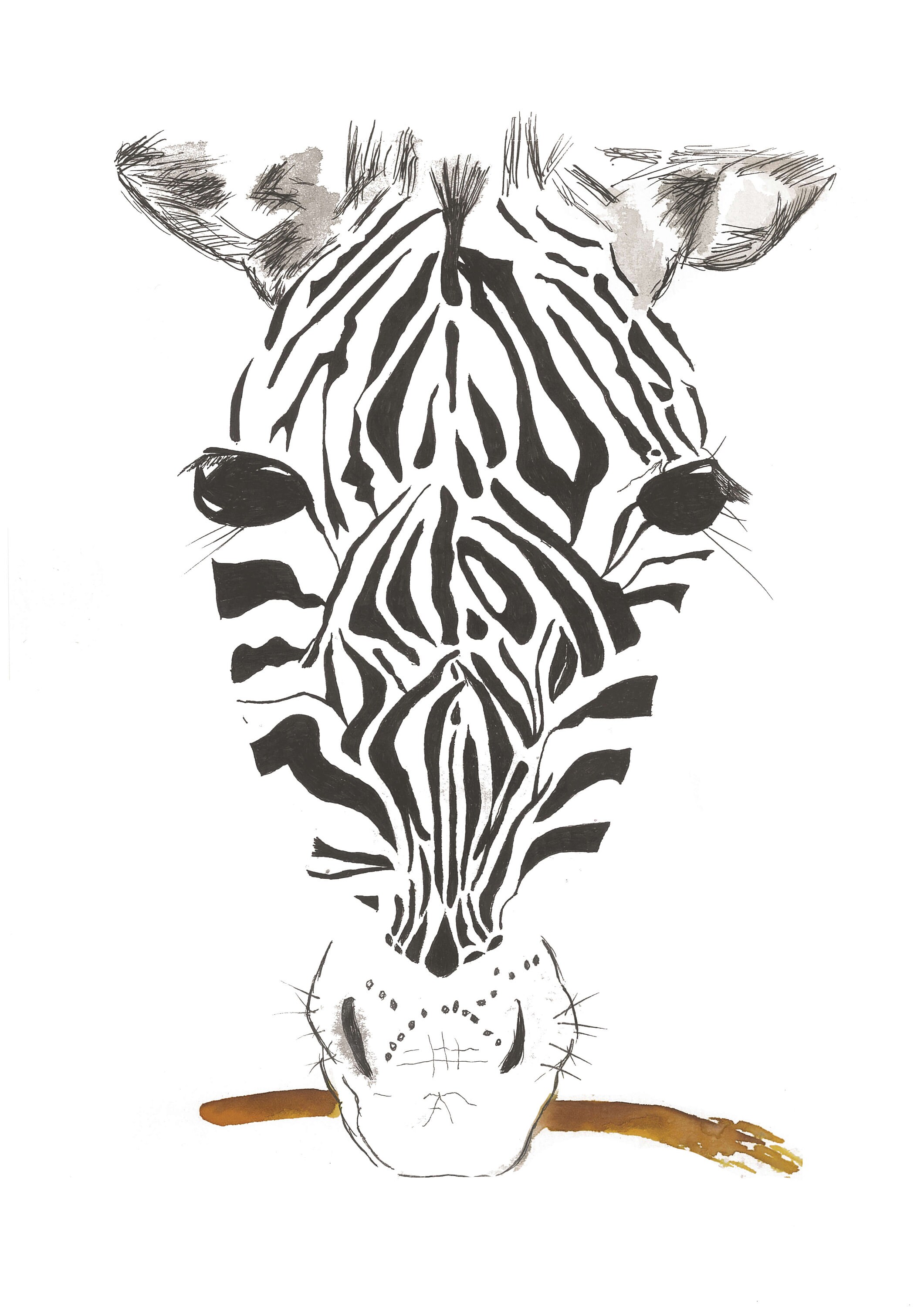 Zebra Animal Print Zebra Watercolor Zebra Nursery Art Etsy