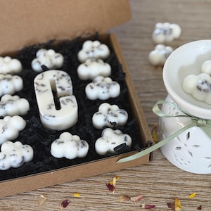 Personalized Letter Scented Wax Melts with  Real Flowers Petals Wax Warmer with Wax Melts  Heart Shape Soy Wax Melts Gift Eco Friendly