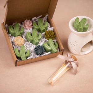 Cera de cactus con aroma intenso y calentador de cera de soja. Regalo ecológico.