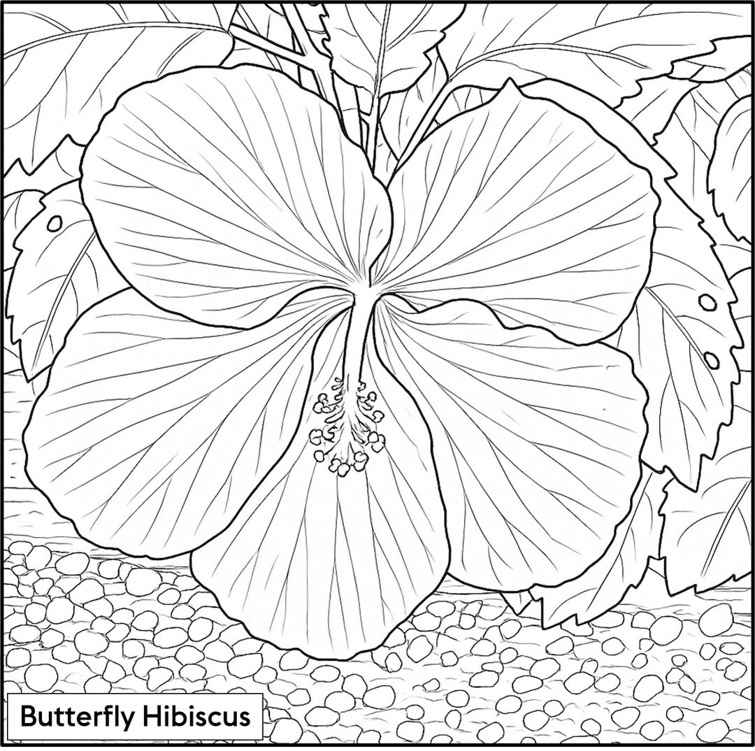 Tropical Flowers Coloring Pages Bundle 1 Etsy 