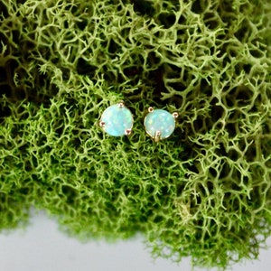 Könnte beinhalten: Ein Paar Opal-Ohrstecker mit goldenen Fassungen. Die Ohrringe sind auf einem Bett aus grünem Moos präsentiert.