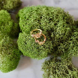 May include: Two gold hoop earrings with small clear stones set in the metal. The earrings are on a bed of green moss.