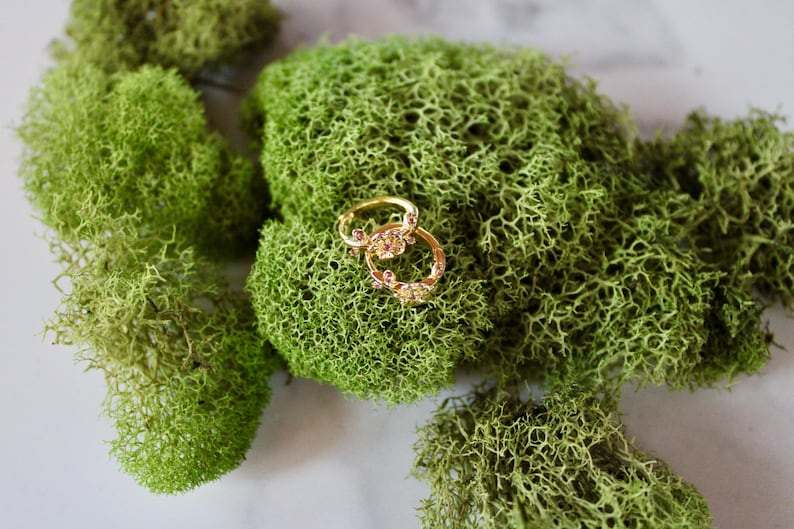 May include: Two gold hoop earrings with small clear stones set in the metal. The earrings are on a bed of green moss.