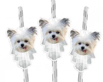 Personalized Pet Face Straws: Bride's Dog Wearing Veil Bachelorette Party Favors