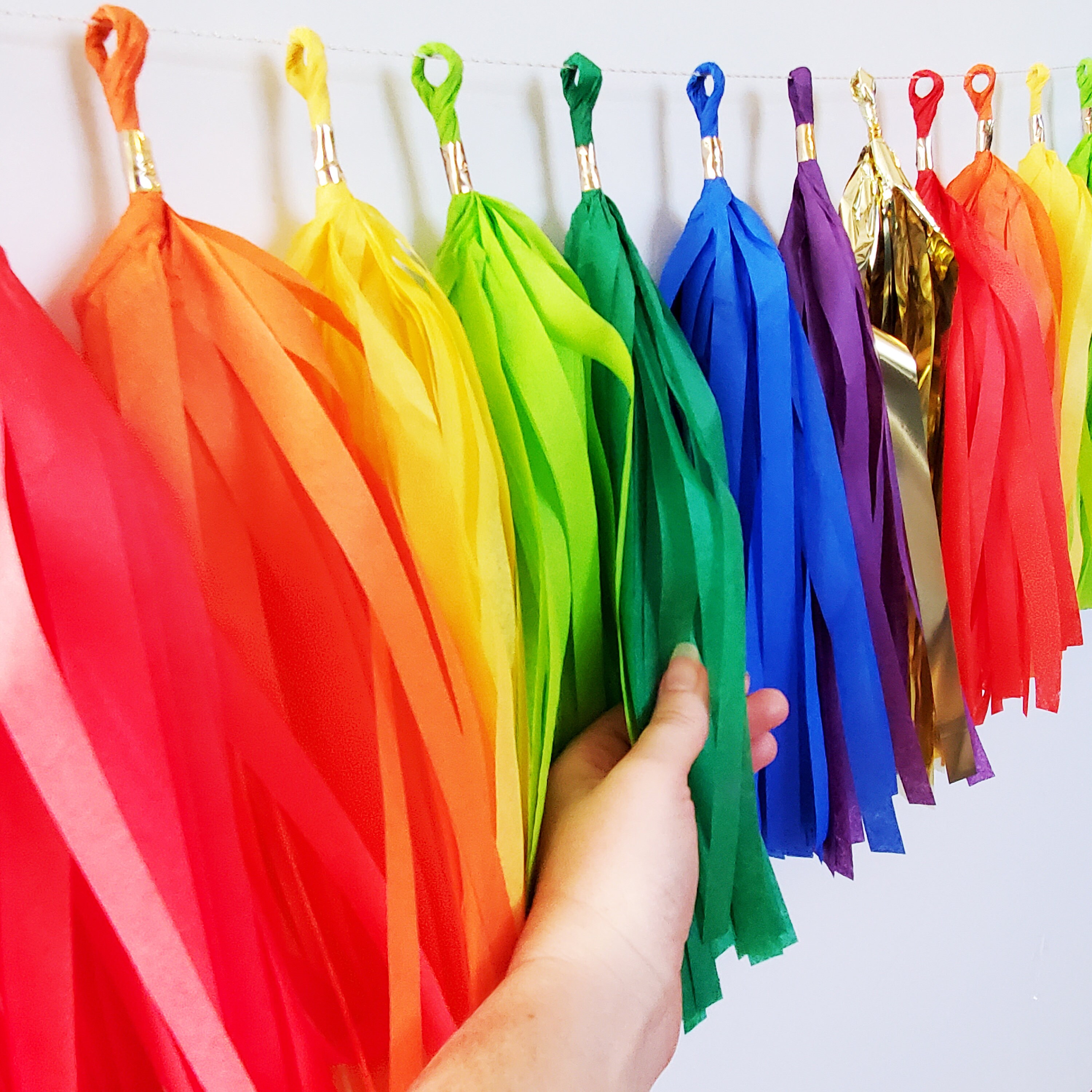 Rainbow Paper Tassel Garland Rainbow Tassels Rainbow Party Etsy