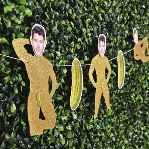 May include: A novelty banner with gold glitter figures of a person and pickles, suspended on a white string. The person cutouts have a face attached. The banner is displayed against a backdrop of green leaves.