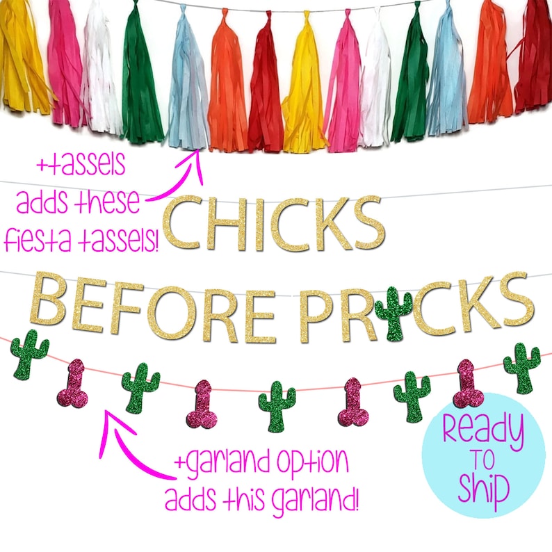 chicks-before-pricks-bachelorette-party-penis-banner-final-etsy