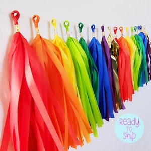 Rainbow Paper Tassel Garland, Rainbow Tassels, Rainbow Party Tassel Garland, Tassel Decorations