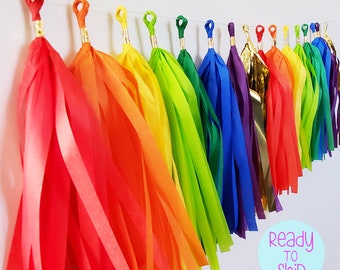 Rainbow Paper Tassel Garland, Rainbow Tassels, Rainbow Party Tassel Garland, Tassel Decorations