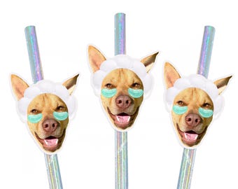Custom Pet Face Straws & Confetti Spa Bachelorette Party Decorations | Dog Mom Bach | Girls Gone Mild | My Mom Is Getting Married Decor