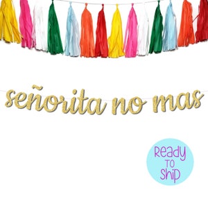 Señorita No Mas Banner: Glitter Final Fiesta Bachelorette Party Decor
