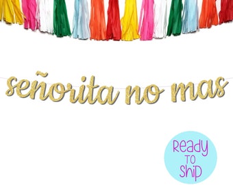 Señorita No Mas Banner: Glitter Final Fiesta Bachelorette Party Decor
