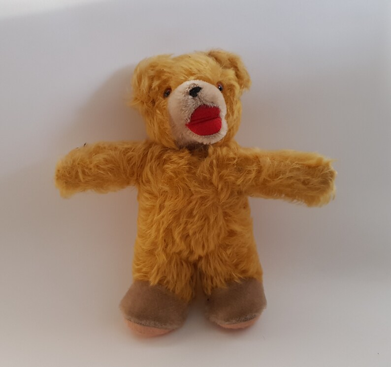 german teddy bear
