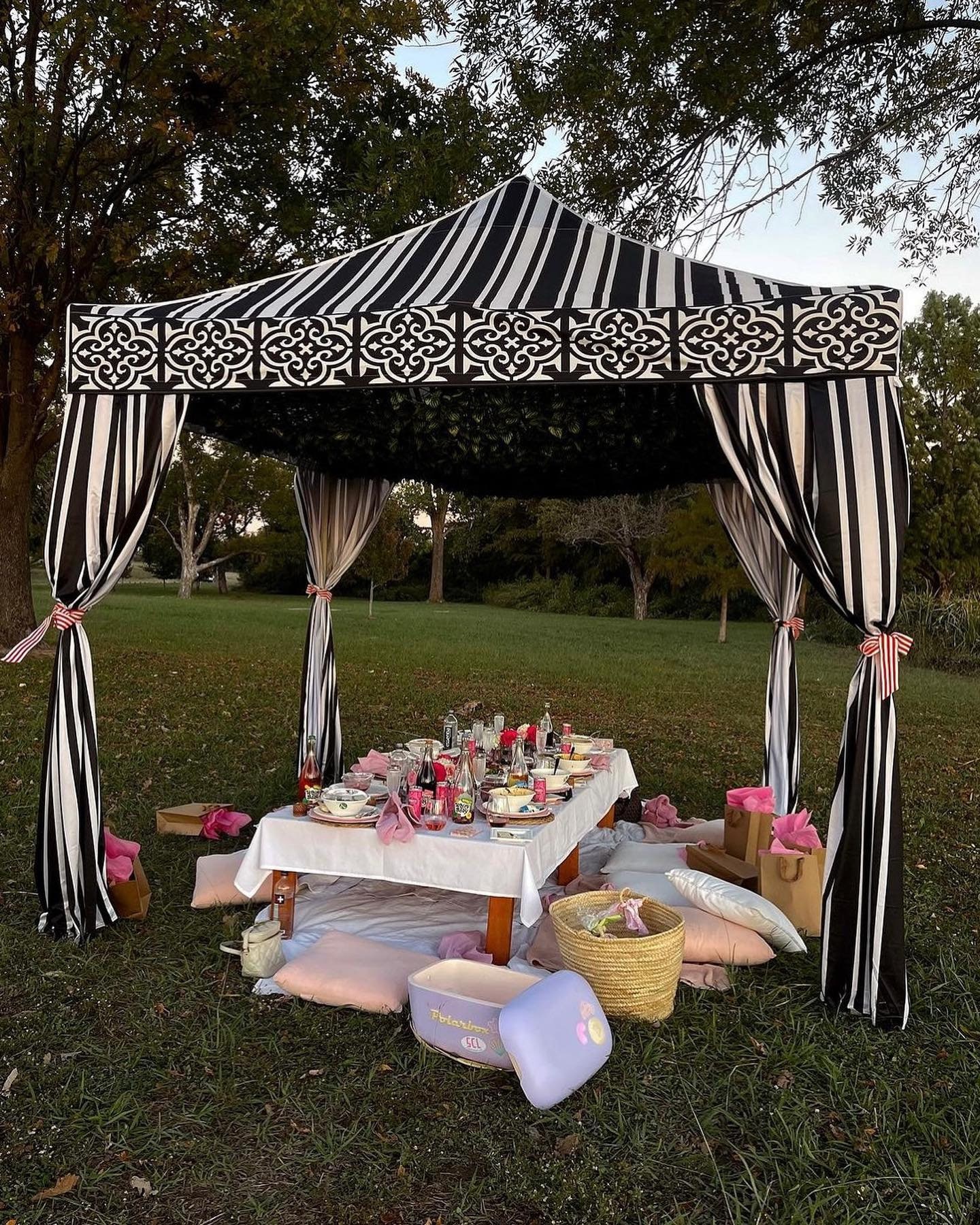PRINTED CANOPY TENT Printed Black and White Stripe Custom 10 X