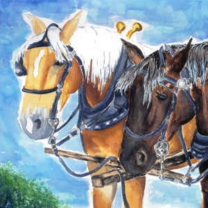 May include: Watercolor painting of two draft horses in harness. One horse is light brown with a white mane, the other is dark brown. They are wearing blue and black harnesses with gold accents, set against a blue sky.