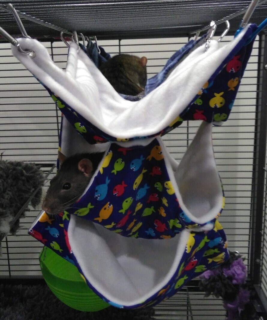 2 3 and 4 Layer Hammocks for Rats and Other Small Etsy Australia