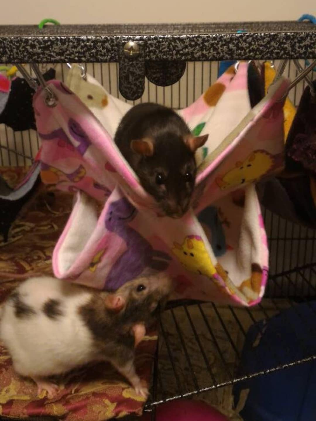 2, 3 and 4 Layer Hammocks for Rats and Other Small Animals Etsy Australia
