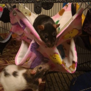 May include: Two pet rats in a cage, one is black and one is black and white. The black rat is in a pink and white hanging hammock. The rats are looking at each other.