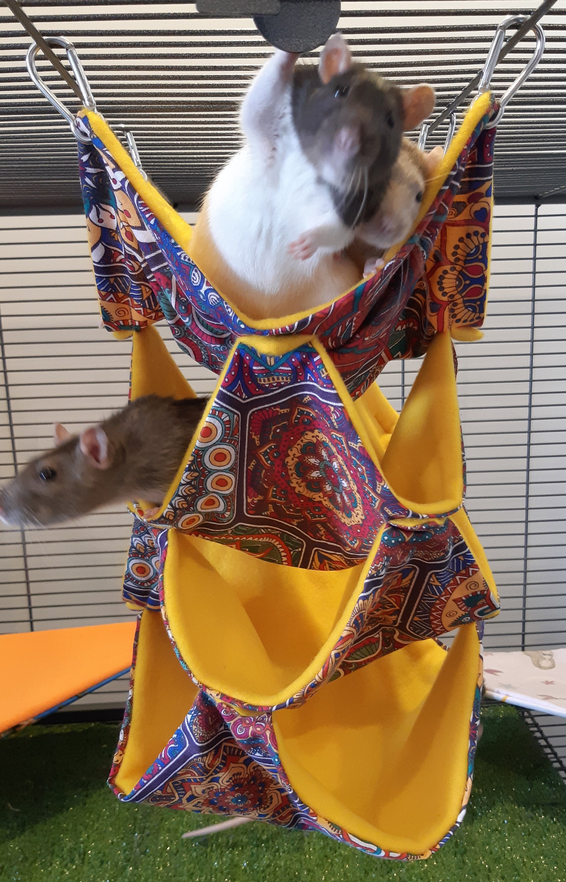 2 3 and 4 Layer Hammocks for Rats and Other Small Etsy