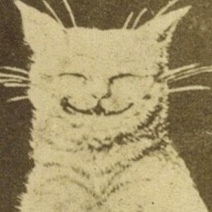 Może przedstawiać: Ilustracja w odcieniach sepii uśmiechniętego kota. Twarz kota jest szczeg&oacute;łowa z wąsami, wyrazem zamkniętych oczu i szerokimi, uniesionymi ustami. Obraz ma styl vintage, ręcznie rysowany, sugerujący klasyczny lub antyczny styl.