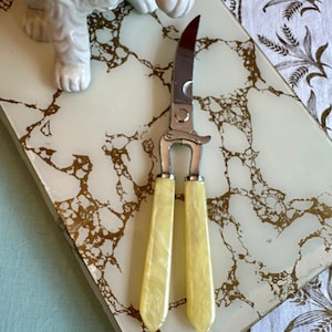 Vintage Kitchen Shears, Mid Century, Poultry Cutter, Faux Pearl Handle (HG-A116)