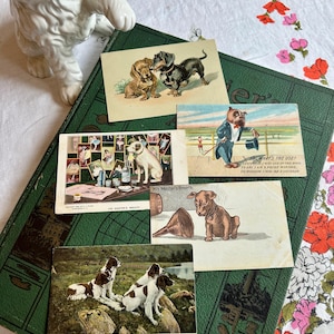 15 DOG-postkaarten, collectie antieke ansichtkaarten, begin jaren 1900, grappige honden, Victoriaanse honden (EP-A021)