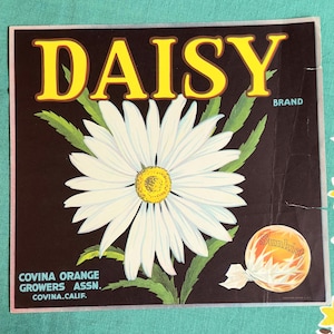 Vintage Fruit Crate Label 1930s-1940s, Sunkist Oranges, Daisy Art (EP-A166)