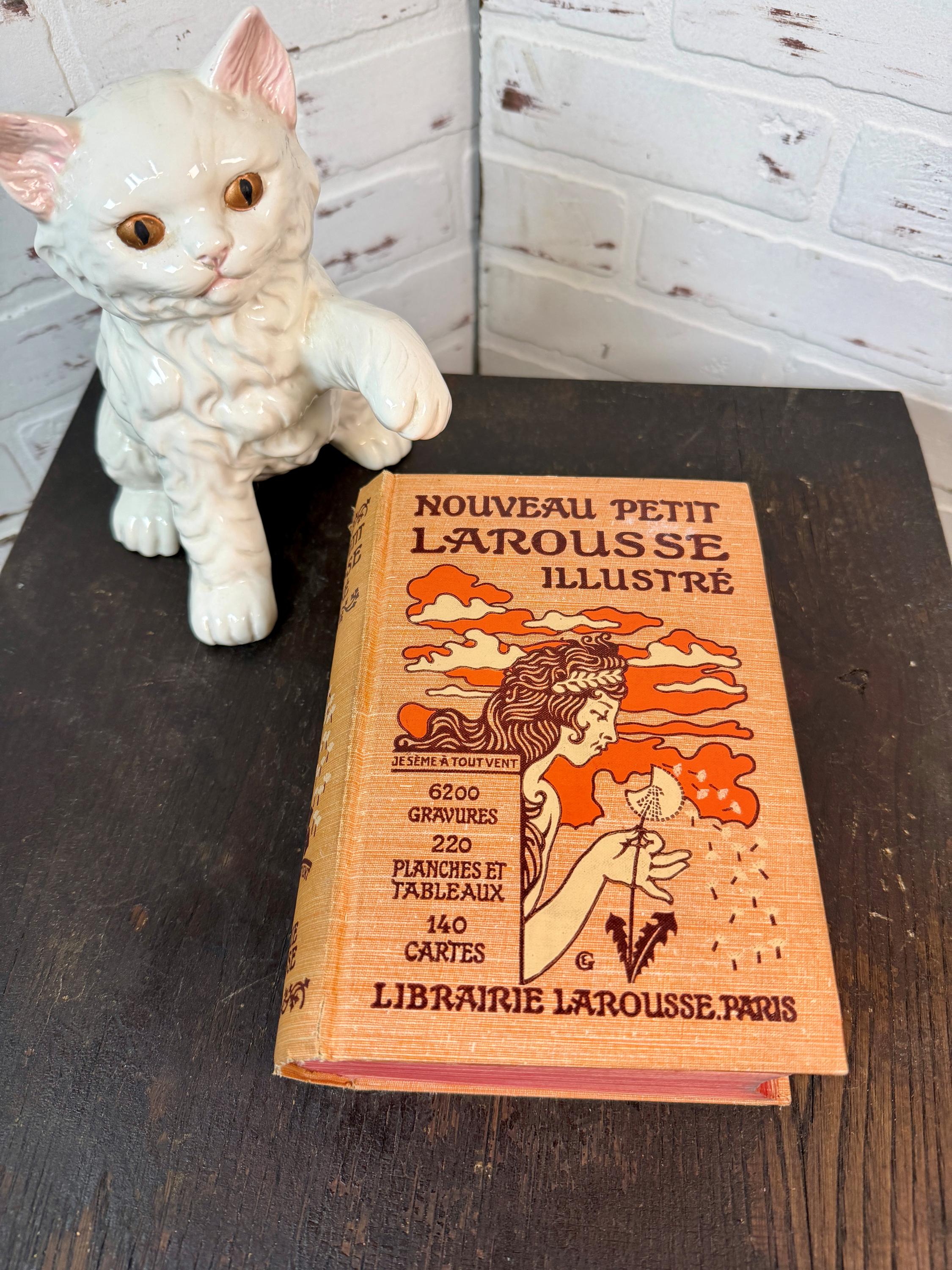 Illustrated Larousse Book - Etsy