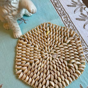 Vintage 1970s, Seashell Placemat, Set of 2 Cowrie Shell Trivet, Coaster, Hot Plate (DE-A158)