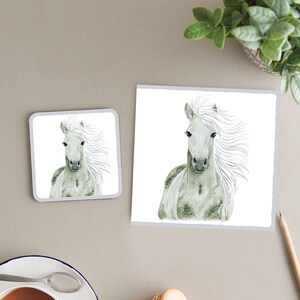 Magnifique carte grise + ensemble cadeau coaster