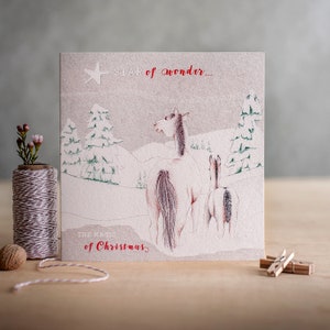 Étoile de merveille. La magie de Noël.