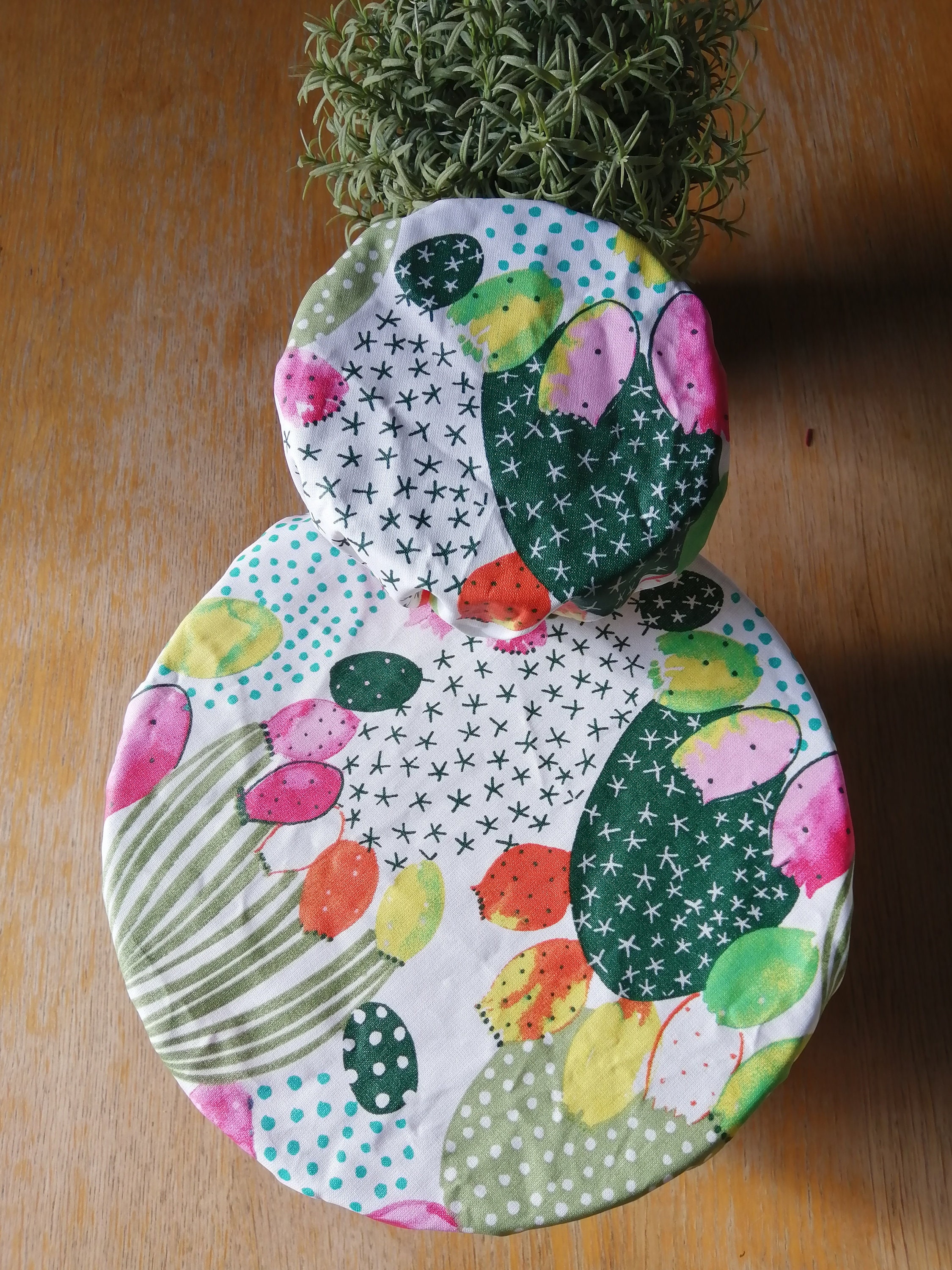 Charlotte de Cuisine - Couvre Plat Écologique Cactus Fleuris Lot 2